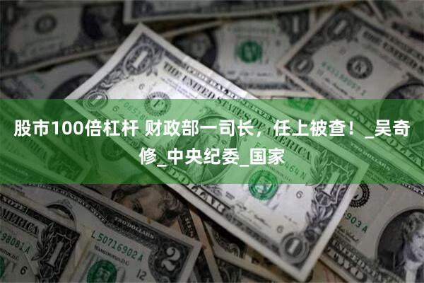 股市100倍杠杆 财政部一司长，任上被查！_吴奇修_中央纪委_国家