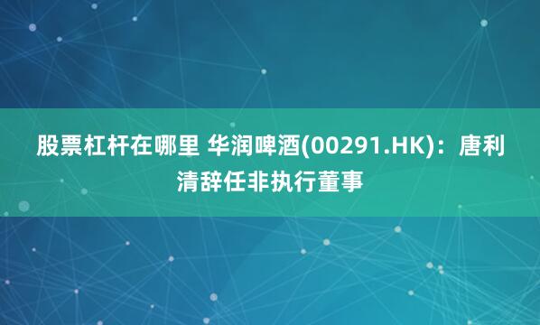 股票杠杆在哪里 华润啤酒(00291.HK)：唐利清辞任非执行董事