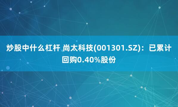 炒股中什么杠杆 尚太科技(001301.SZ)：已累计回购0.40%股份