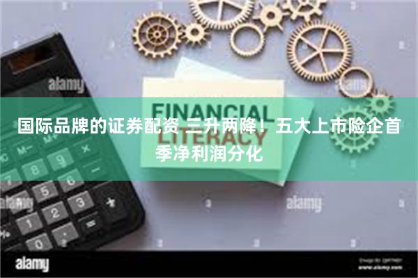 国际品牌的证券配资 三升两降！五大上市险企首季净利润分化