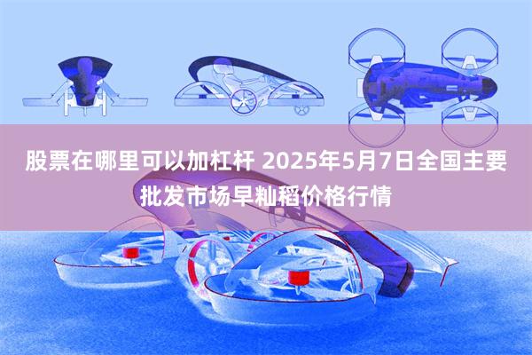 股票在哪里可以加杠杆 2025年5月7日全国主要批发市场早籼稻价格行情