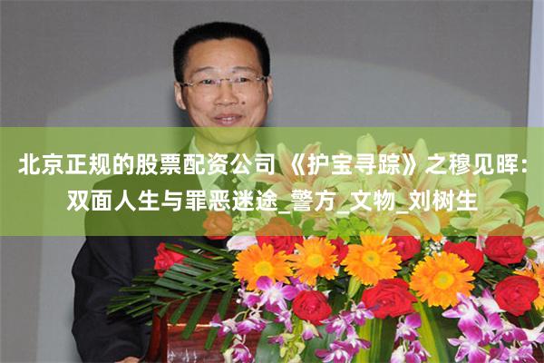 北京正规的股票配资公司 《护宝寻踪》之穆见晖：双面人生与罪恶迷途_警方_文物_刘树生